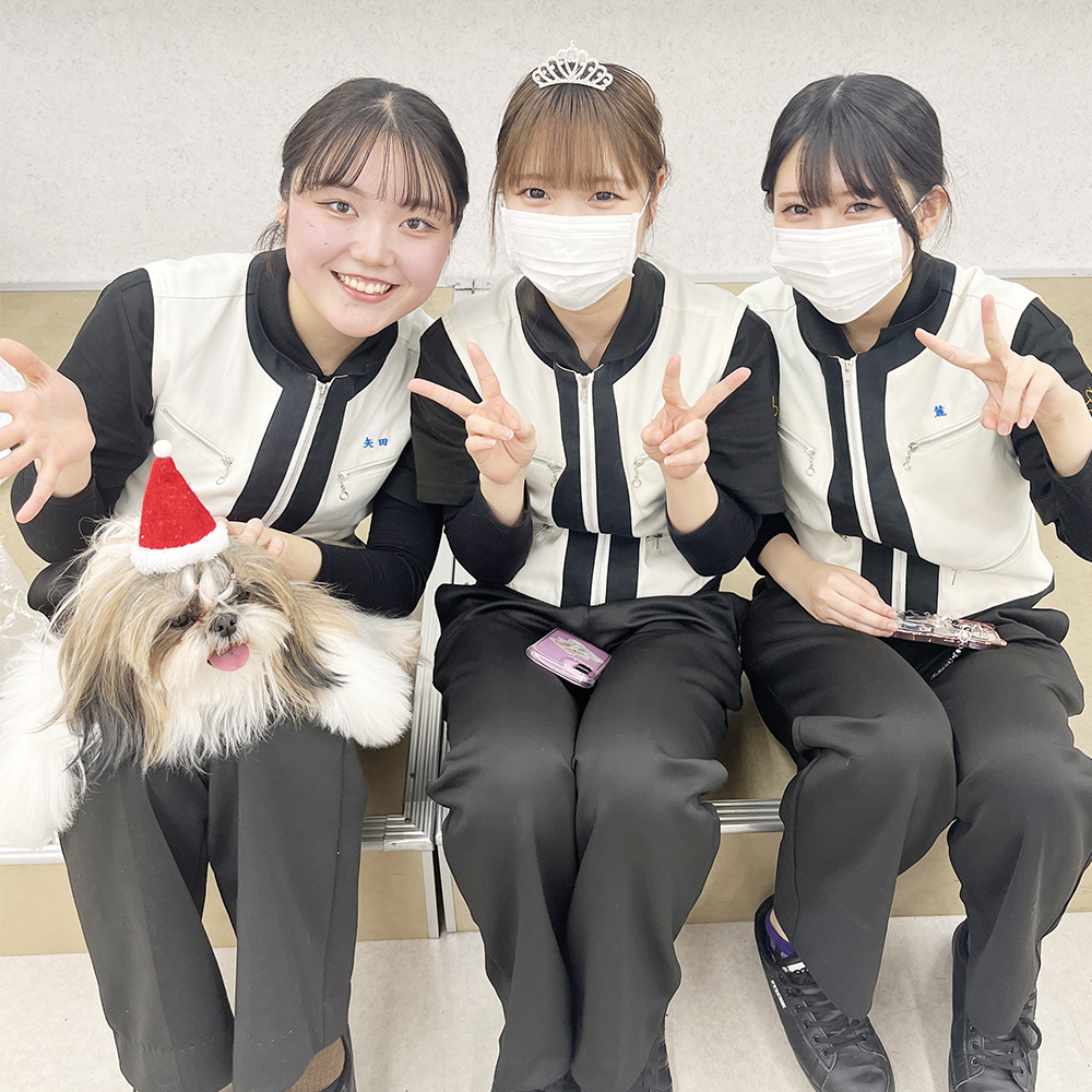 モデル犬の写真撮影会PART②